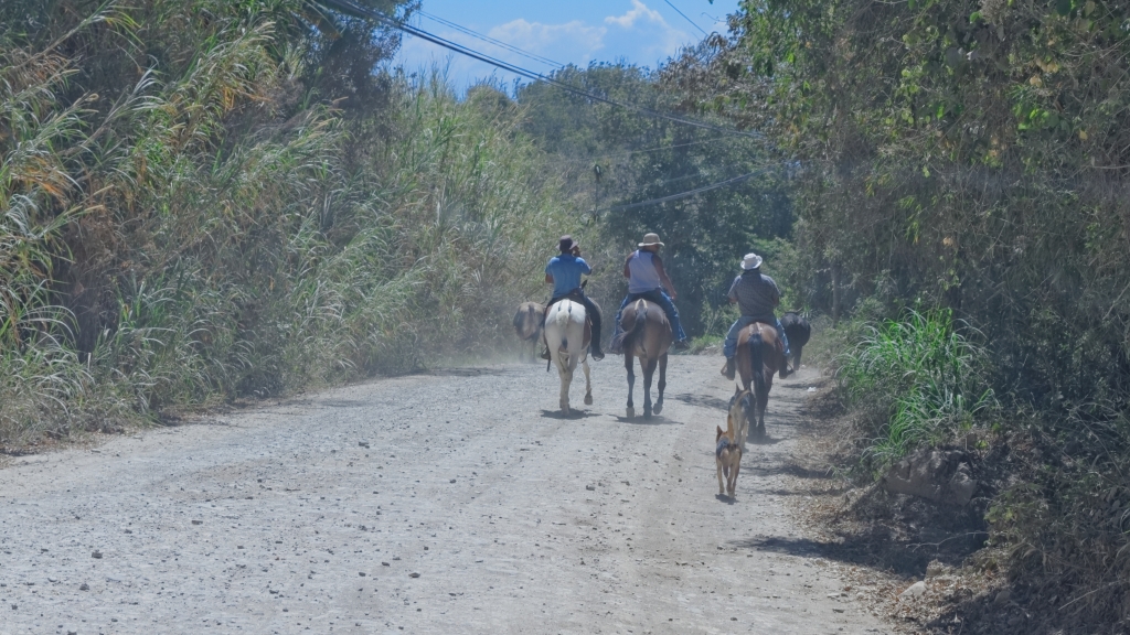 07 - Monterverde (14).jpg